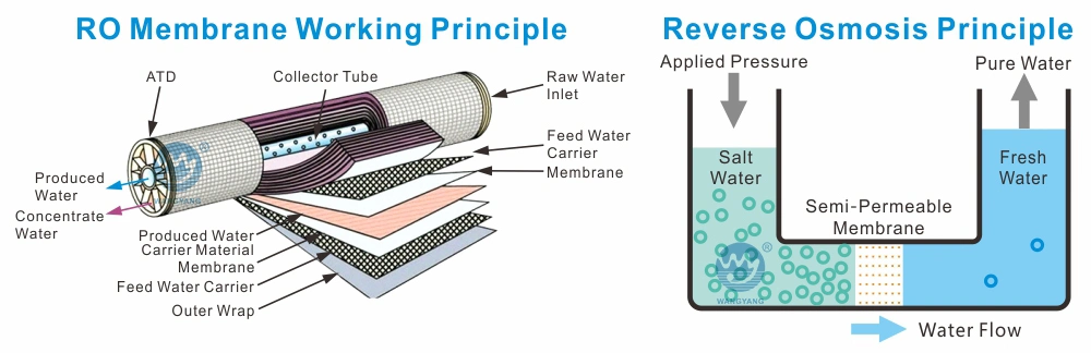 Seawater Desalination Plant 50 M3 Per Hour