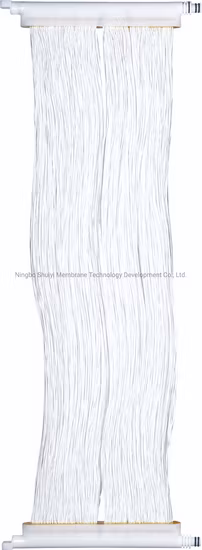 High Flux 0.03 Um Hollow Fiber Submerged Ultrafiltration UF Membrane for Coal Chemical Wastewater Factory Price